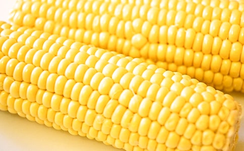 玉米买卖的合同