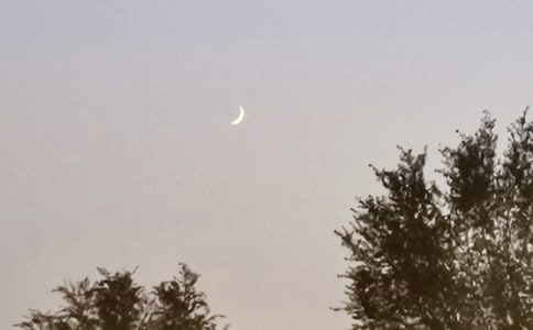 大班语言《月亮船》教学反思10篇