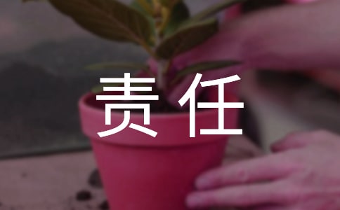 个人责任保证书范文