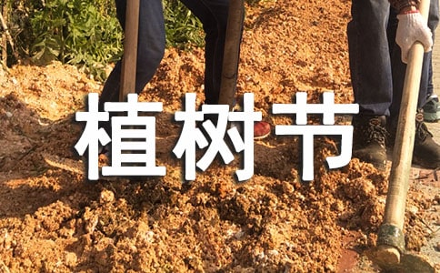 3.12植树节活动总结