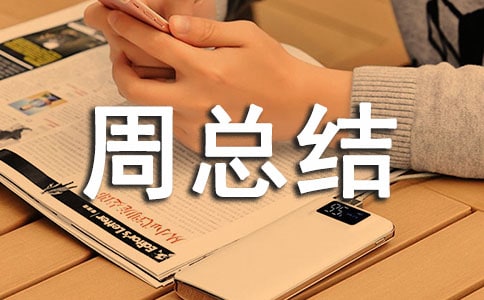 工作周总结范文简短