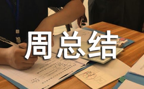 简短的工作周总结范文