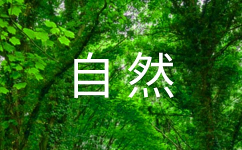 《自然之道》教学反思(集锦15篇)