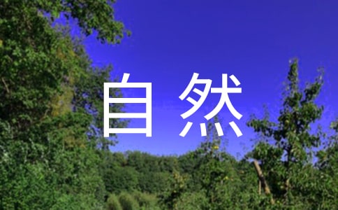 《大自然的声音》教学反思(12篇)