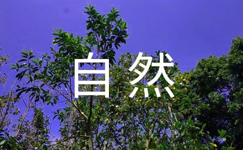 《细菌和真菌在自然界中的作用》教学反思