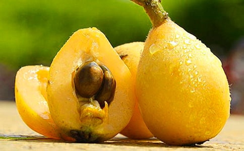 蜜炼川贝枇杷膏广告词