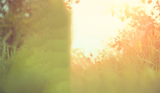 经典六月再见,七月你好唯美语录座右铭50句