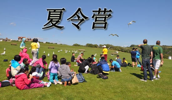 小学夏令营的活动总结