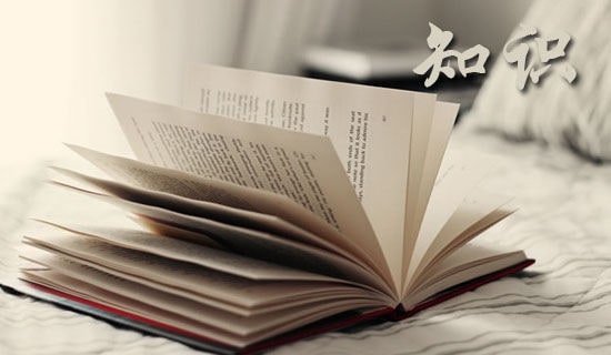 梦想接力知识散播寒假实践报告